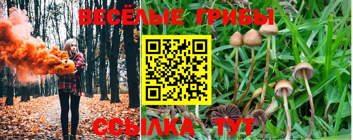 Галлюциногенные грибы мицелий Скопин