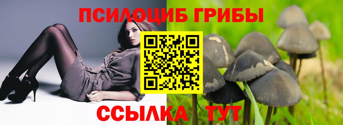 Скопин  Псилоцибиновые грибы ЛСД  Псилоцибиновые грибы GOLDEN TEACHER  как найти   Вход с VPN 